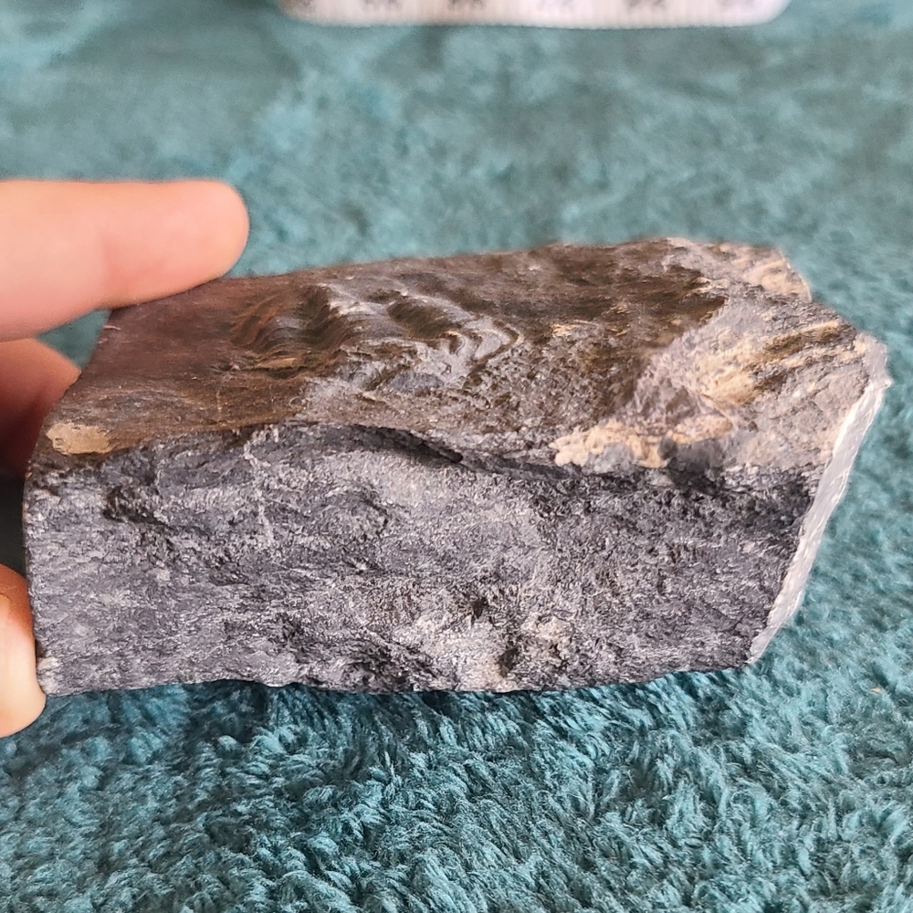 Trillobite Fossil Stone - Picture 4 of 10